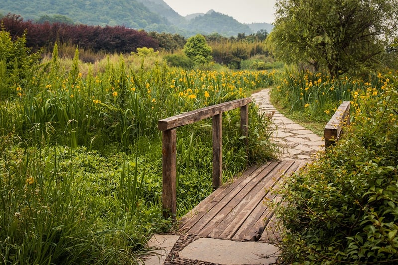 Garden Pathway