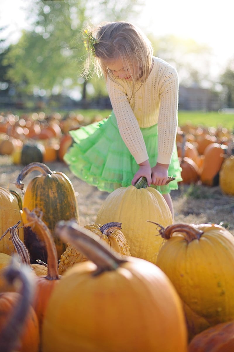 Fall Decor
